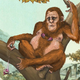 Scientists say bipedalism was a later, secondary adaptation, which developed to allow our early ancestors to free up both hands for snacking while walking around.